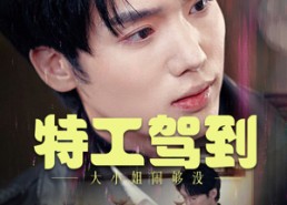 短剧《特工驾到大小姐闹够没（40集）》短剧全集在线畅快追