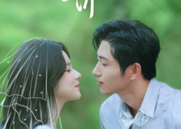 短剧《非婚不可（65集）》热门短剧免费完整观看