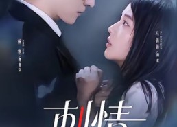 短剧《刺情（65集）》热门短剧免费在线播放