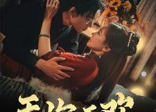 短剧《无你不欢（81集）》超长篇短剧免费畅看