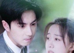 短剧《前妻难追，霸总他知错了（87集）》短剧免费全集高清观看