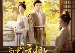 短剧《与君远相知，不道云海深（30集）》免费短剧全集一键畅享