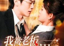 短剧《我被老板深深溺爱（102集）》超甜短剧全集免费看