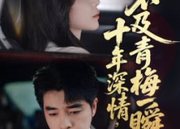 短剧《十年深情不及青梅一瞬（55集）》短剧全集高清免费看