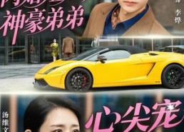 短剧《闪婚姐姐，神豪弟弟心尖宠（54集）》短剧全集免费一键畅享