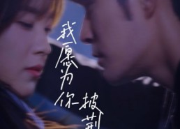 短剧《我愿为你披荆斩棘（88集）》短剧免费在线追剧