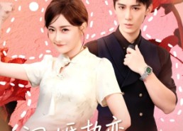 短剧《闪婚热恋纪太太过分彪悍（80集）》短剧在线观看无需付费