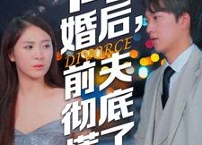 短剧《离婚后，前夫彻底慌了（41集）》短剧免费在线畅享全集