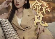 短剧《天命不凡（28集）》超火短剧完整版速看