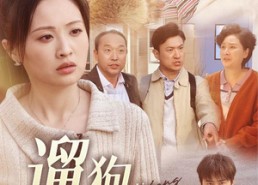 短剧《遛狗请拴绳（31集）》超火短剧完整版速览