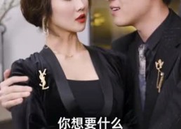 短剧《重回商界做大佬（重活一次商界我做主）》短剧完整版免费畅看