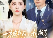 短剧《被弃后，我成了他高攀不起的人（68集）》超燃短剧免费在线观