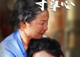 短剧《天涯寸草心（76集）》短剧全集免费畅享观看