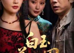 短剧《白玉美人图（65集）》热门短剧完整版在线赏