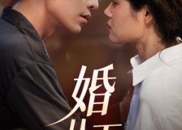 短剧《婚从天降（92集）》优质短剧全集免费赏