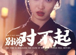 短剧《别说对不起（35集）》短剧高清全集免费观