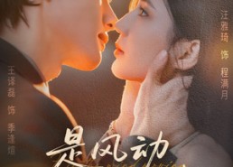 短剧《是风动也是心动（60集）》超火短剧全集免费观