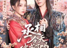 短剧《丞相今天破戒了吗（80集）》短剧超清全集免费享