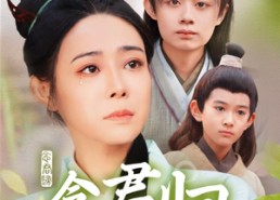 短剧《念君归（77集）》热门短剧免费在线看全集