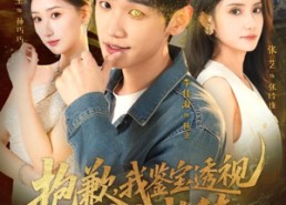 短剧《抱歉，我鉴宝透视不讲武德（88集）》短剧高清全集在线播放