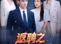 短剧《返聘之代码英雄（37集）》热门短剧在线免费看