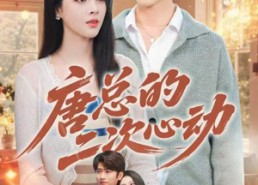 短剧《唐总的二次心动（80集）》超火短剧全集免费看