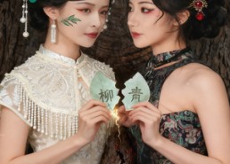 短剧《青柳（79集）》精彩短剧无删减在线播