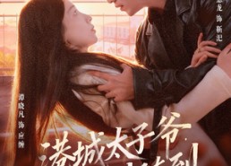 短剧《港城太子爷，随叫随到（80集）》短剧免费高清全集畅享