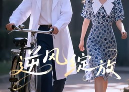 短剧《逆风绽放（55集）》超火短剧在线免费欣赏