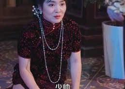 短剧《高枝难攀（80集）》热门短剧完整版观看