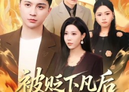 短剧《被贬下凡后全家乱套了（88集）》超火短剧全集在线看