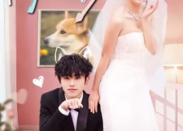 短剧《忠犬变恶少（80集）》热门短剧全集免费观