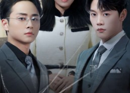 短剧《爱有定则（30集）》免费短剧全集在线览