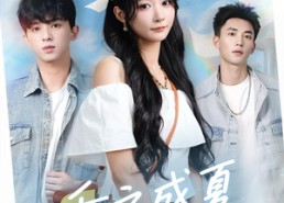 短剧《重启盛夏热恋（66集）》短剧高清全集在线畅享