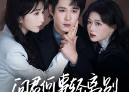 短剧《问君何事轻离别（30集）》精彩短剧全集一键观看