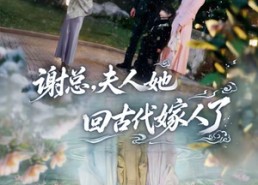 短剧《谢总，夫人她回古代嫁人了（61集）》短剧完整版在线免费看