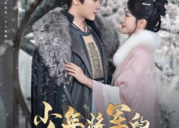 短剧《少年将军的失忆小青梅（100集）》热门短剧免费全集观赏