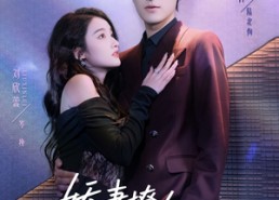 短剧《娇妻撩人，陆先生他超好哄（73集）》短剧全集免费即点即看