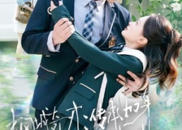 短剧《枫城奇才：传承加身踏清北（80集）》精彩短剧全集免费观