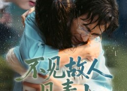 短剧《不见故人见青山（91集）》短剧无删减全集免费看