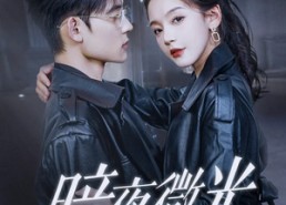 短剧《暗夜微光（86集）》短剧全集免费高清观看