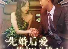 短剧《先婚后爱傅少的小娇妻（95集）》精彩短剧免费完整播