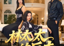 短剧《林太太的反击（69集）》短剧高清免费全集速看