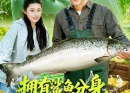 短剧《拥有鲨鱼分身，我靠赶海发家致富（114集）》爆款短剧免费畅享