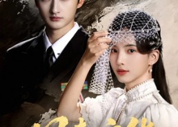 短剧《风Q京华（60集）》短剧完整版免费畅享