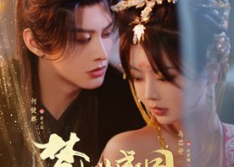 短剧《梦蝶成凰（71集）》全网独家短剧免费看