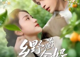 短剧《乡野藏金婿（50集）》短剧全50集高清在线播