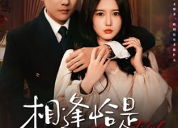 短剧《相逢恰是涅槃时（63集）》精彩短剧全集免费播