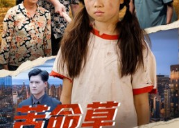 短剧《苦命草翻身宝（62集）》超燃短剧免费畅看全集