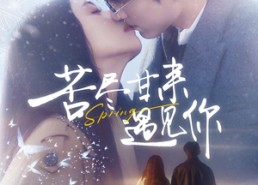 短剧《苦尽甘来遇见你（87集）》精彩短剧全集高清免费观